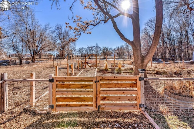 view of gate with a rural view