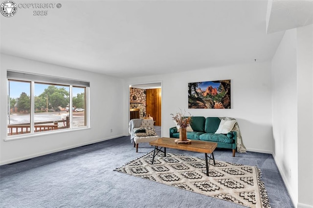 1035 Ohio Ave, Canon City, CO 81212 - living room featuring carpet