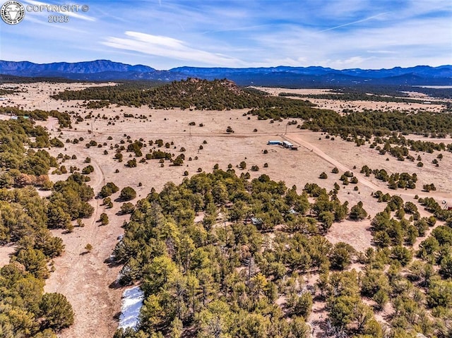 2375 P Path, Cotopaxi, CO 81223 - bird's eye view featuring view of desert and a mountain view