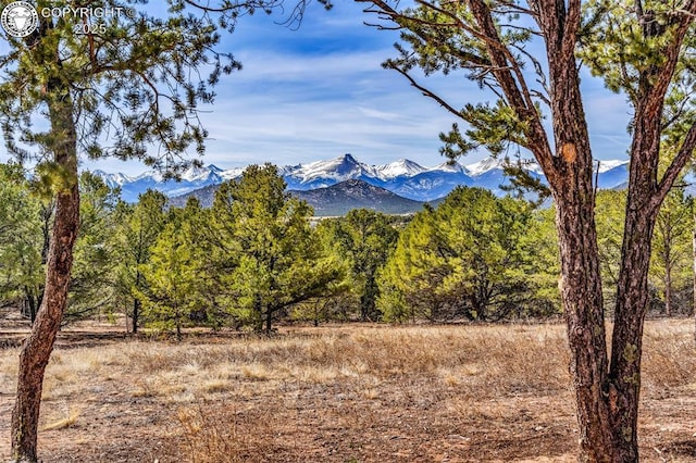 2375 P Path, Cotopaxi, CO 81223 - mountain view