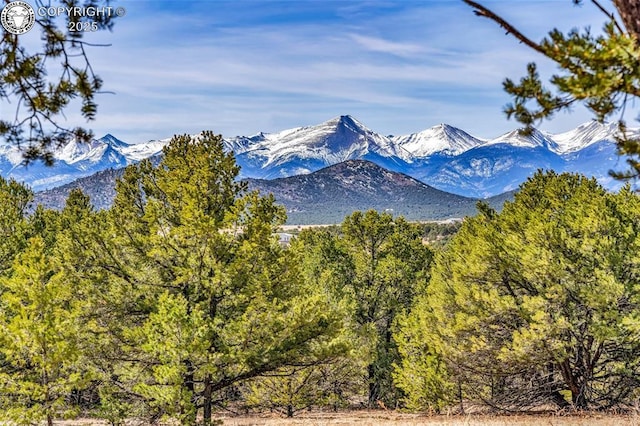 2375 P Path, Cotopaxi, CO 81223 - view of mountain feature featuring a forest view