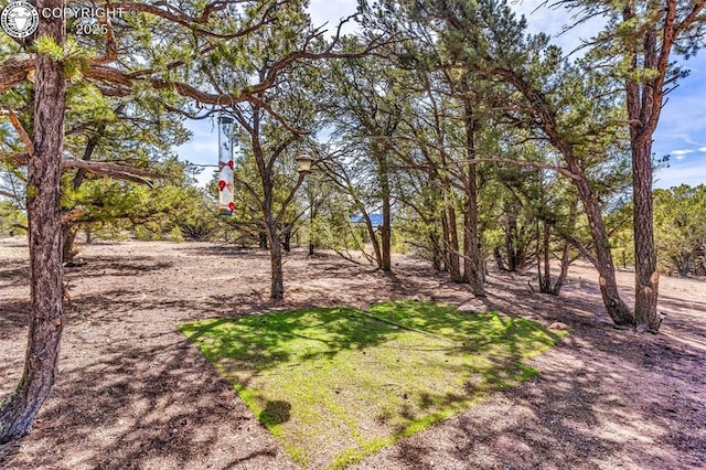 2375 P Path, Cotopaxi, CO 81223 - view of yard