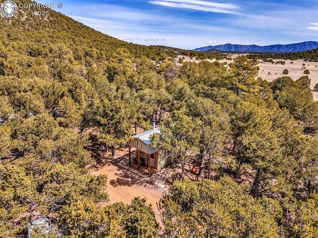 2375 P Path, Cotopaxi, CO 81223 - aerial view featuring a forest view and a mountain view