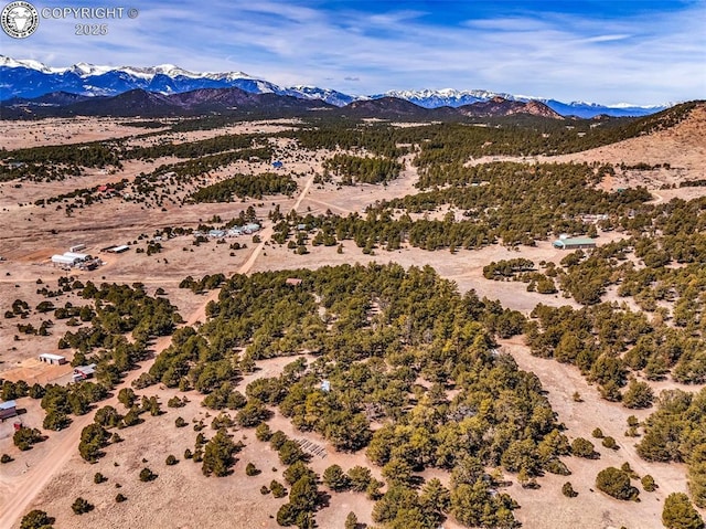 2375 P Path, Cotopaxi, CO 81223 - property view of mountains