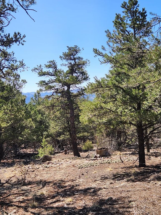 Listing photo 3 for TBD L Path, Cotopaxi CO 81223