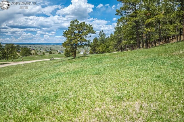 8770 Moss Rock Rd, Colorado Springs, CO 80908 - photo 21
