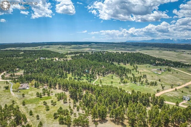 8770 Moss Rock Rd, Colorado Springs, CO 80908 - photo 9