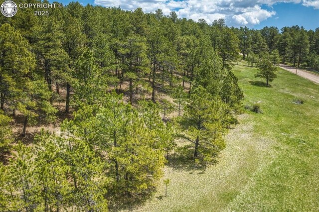 8770 Moss Rock Rd, Colorado Springs, CO 80908 - photo 16