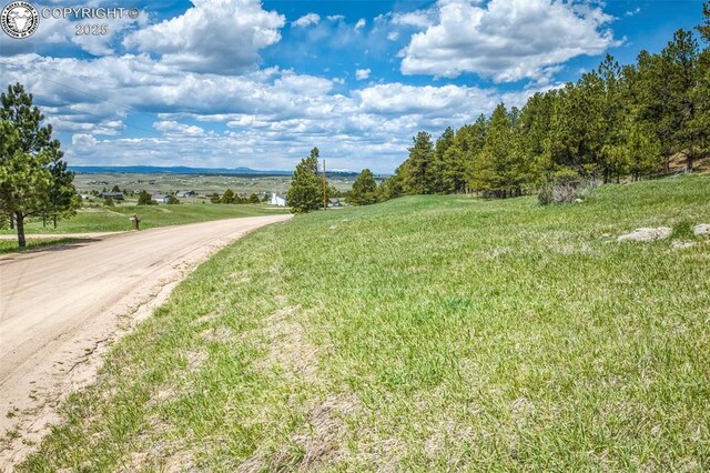 8770 Moss Rock Rd, Colorado Springs, CO 80908 - photo 15
