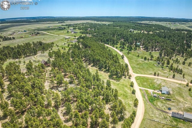 8770 Moss Rock Rd, Colorado Springs, CO 80908 - photo 10