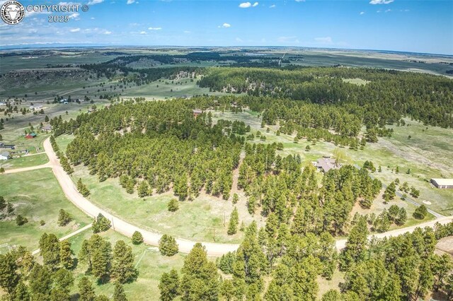 8770 Moss Rock Rd, Colorado Springs, CO 80908 - photo 4