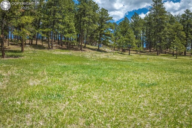 8770 Moss Rock Rd, Colorado Springs, CO 80908 - photo 19