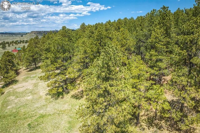 8770 Moss Rock Rd, Colorado Springs, CO 80908 - photo 17