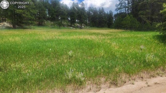 8770 Moss Rock Rd, Colorado Springs, CO 80908 - photo 22
