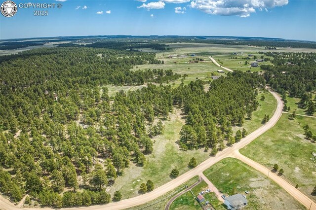 8770 Moss Rock Rd, Colorado Springs, CO 80908 - photo 11