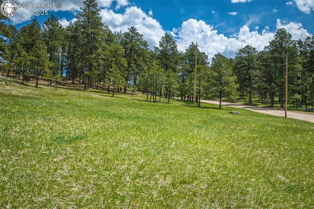 8770 Moss Rock Rd, Colorado Springs, CO 80908 - photo 20