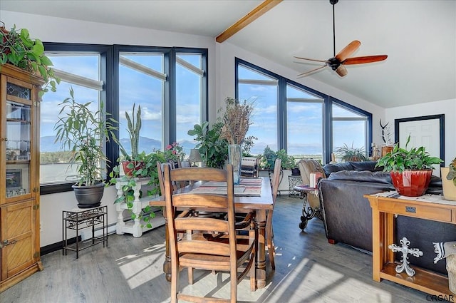 sunroom with vaulted ceiling with beams and ceiling fan