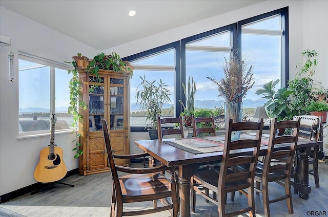 dining room with hardwood / wood-style floors