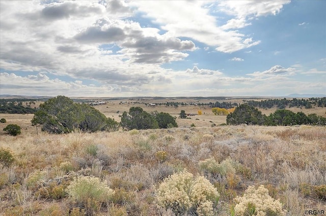 view of local wilderness with a rural view