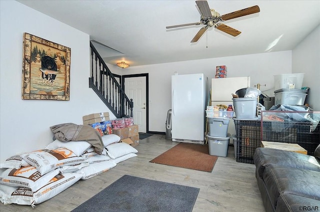 living room with ceiling fan and light hardwood / wood-style flooring