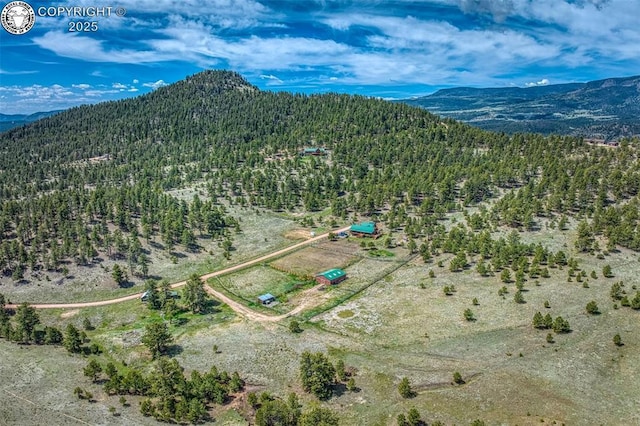 drone / aerial view with a mountain view and a view of trees