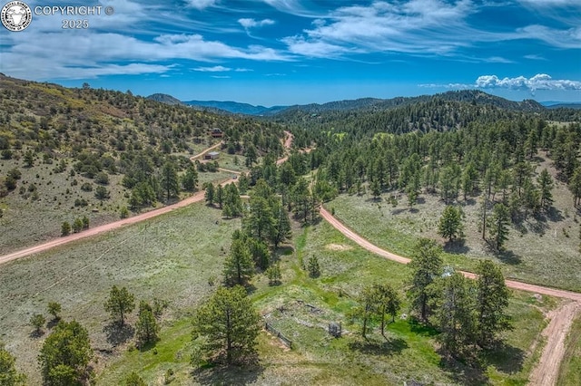 birds eye view of property featuring a forest view and a mountain view