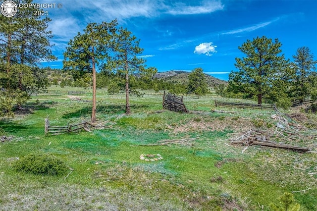 view of yard with a mountain view and a rural view