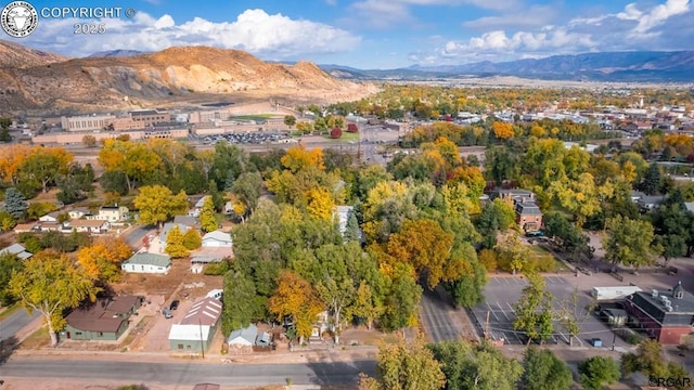 birds eye view of property featuring a mountain view