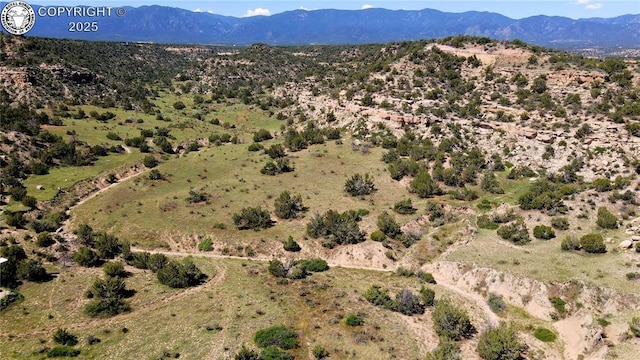 254 Bandito Trl, Florence, CO 81226 - photo 34