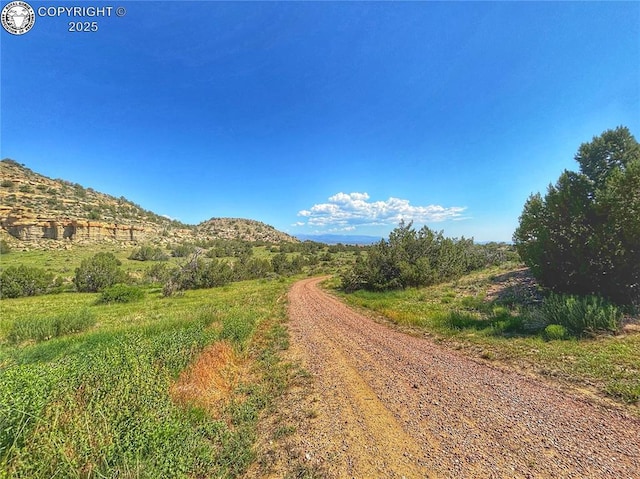 254 Bandito Trl, Florence, CO 81226 - photo 24