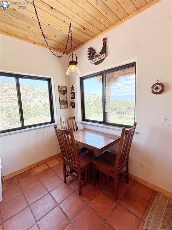 254 Bandito Trl, Florence, CO 81226 - photo 12