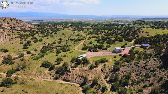 254 Bandito Trl, Florence, CO 81226 - photo 33