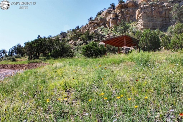 254 Bandito Trl, Florence, CO 81226 - photo 27