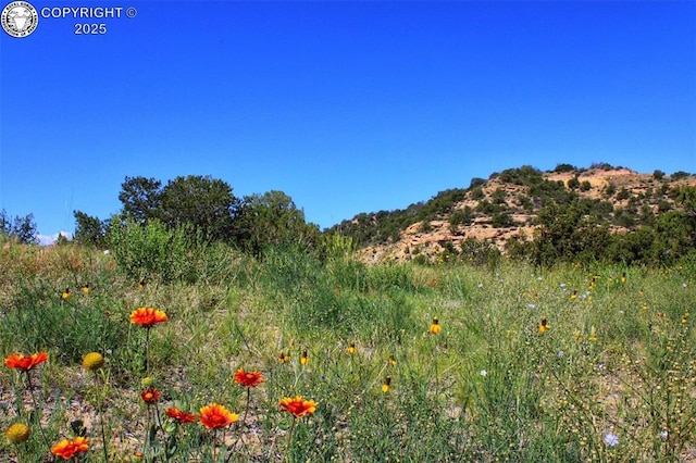 254 Bandito Trl, Florence, CO 81226 - photo 36