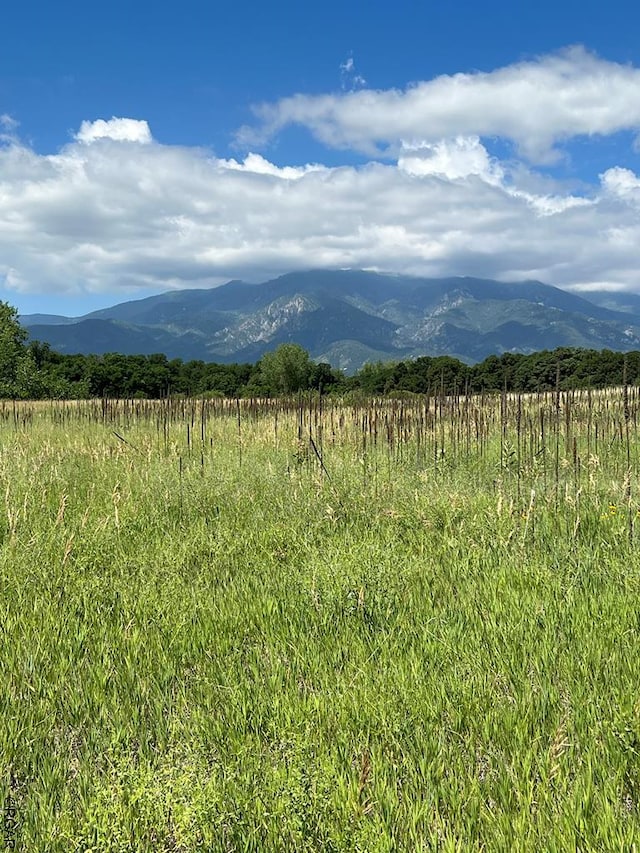 LOT179 Ouray St, Colorado City CO, 81019 land for sale