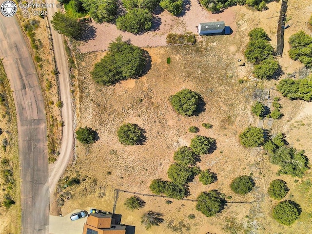 105 Bobwhite Loop, Canon City, CO 81212 - photo 16