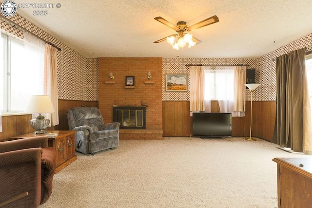 241 Dozier Ave, Canon City, CO 81212 - photo 10