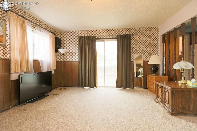 241 Dozier Ave, Canon City, CO 81212 - photo 21