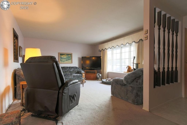 241 Dozier Ave, Canon City, CO 81212 - photo 3