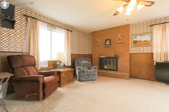 241 Dozier Ave, Canon City, CO 81212 - photo 23