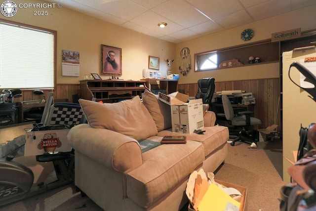 241 Dozier Ave, Canon City, CO 81212 - photo 28