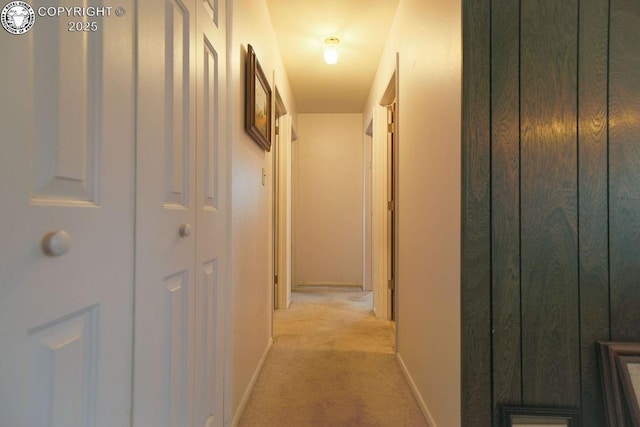 241 Dozier Ave, Canon City, CO 81212 - photo 5