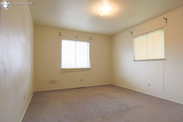 241 Dozier Ave, Canon City, CO 81212 - photo 14