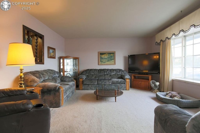 241 Dozier Ave, Canon City, CO 81212 - photo 2