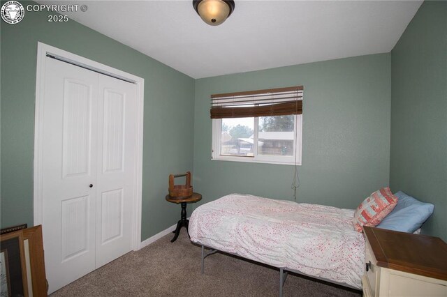 69 Easy St, Colorado Springs, CO 80911 - photo 19