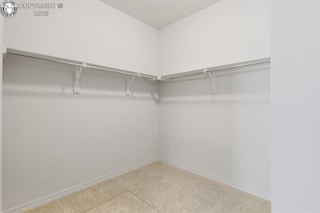 walk in closet with carpet