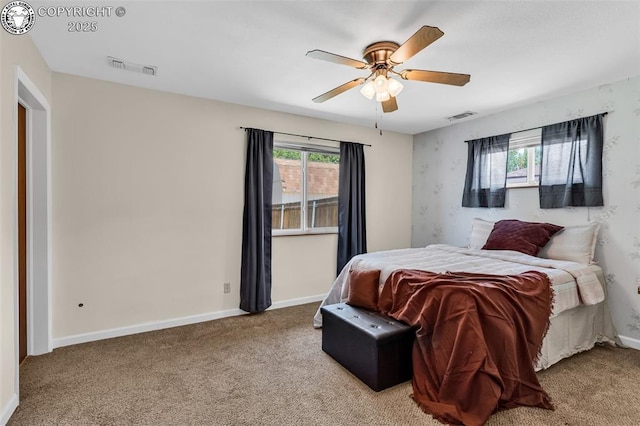 2401 Clayton Dr, Canon City, CO 81212 - photo 19