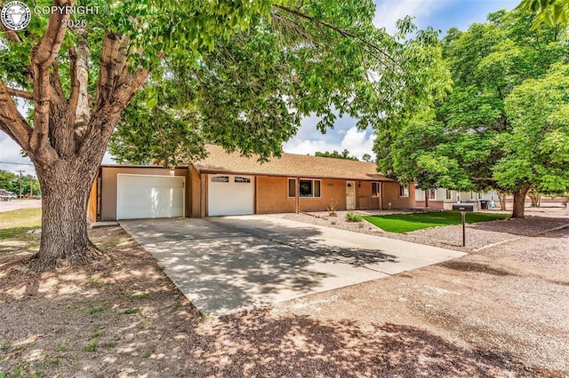 2401 Clayton Dr, Canon City, CO 81212 - photo 2