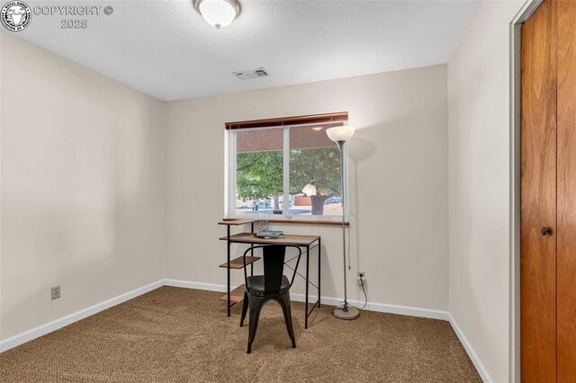 2401 Clayton Dr, Canon City, CO 81212 - photo 23