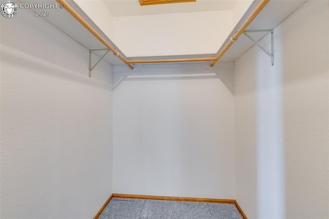 1108 Fairview Ave Unit B, Canon City, CO 81212 - spacious closet with carpet